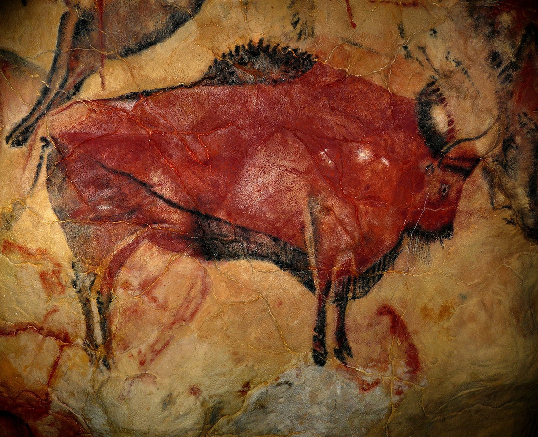 Prehistoire bison 
